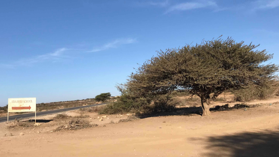 ahmad-yassir-abaarso-teaching