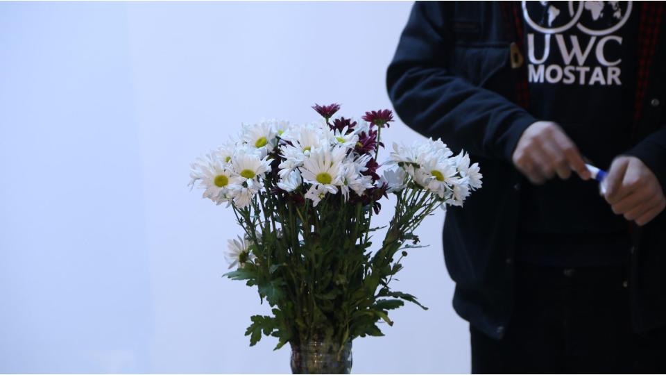 ahmad-yassir-artist-educator-lebanon