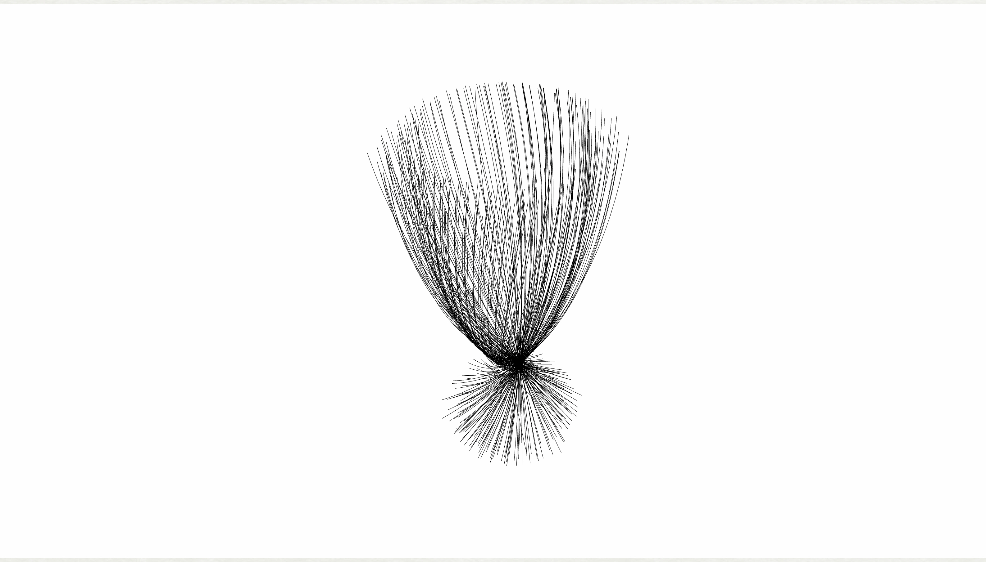 ahmad-yassir-artist-digital-art-curves